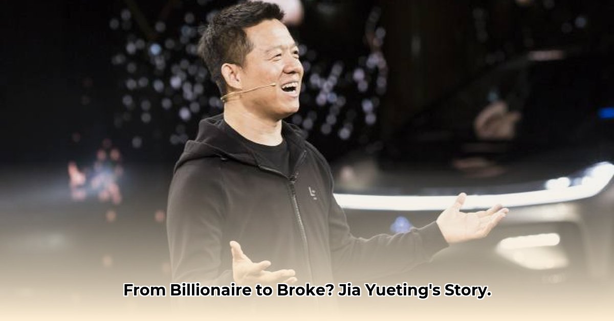 jia-yueting-net-worth